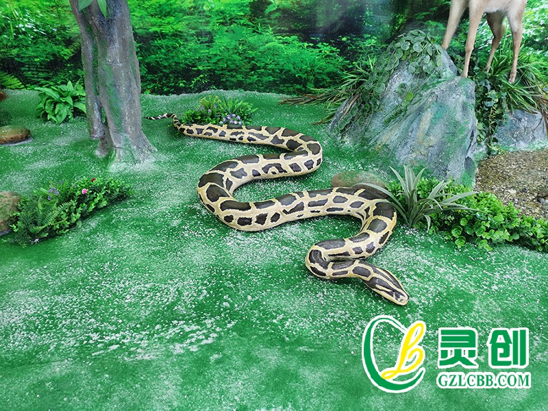 仿真蟒蛇標本