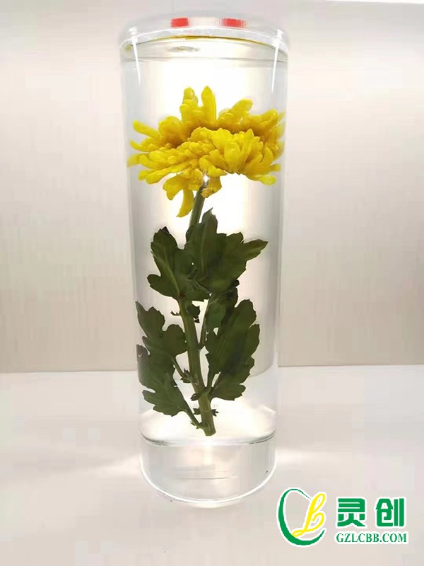 植物保色包埋標(biāo)本